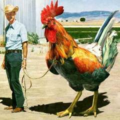 Man with big cock