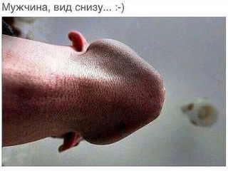 Мужчина, вид снизу